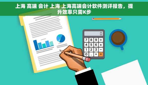 上海 高端 会计 上海 上海高端会计软件测评报告，提升效率只需K步