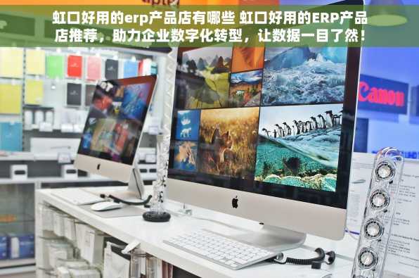 虹口好用的erp产品店有哪些 虹口好用的ERP产品店推荐，助力企业数字化转型，让数据一目了然！