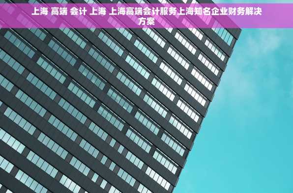 上海 高端 会计 上海 上海高端会计服务上海知名企业财务解决方案