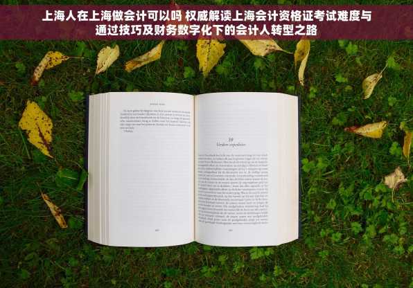上海人在上海做会计可以吗 权威解读上海会计资格证考试难度与通过技巧及财务数字化下的会计人转型之路