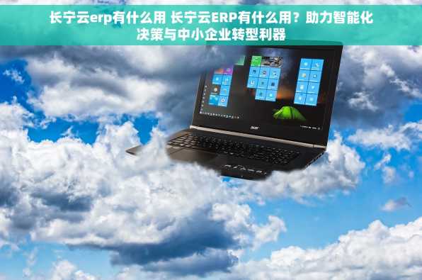 长宁云erp有什么用 长宁云ERP有什么用？助力智能化决策与中小企业转型利器