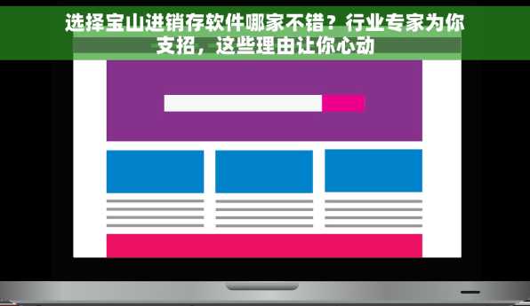 选择宝山进销存软件哪家不错？行业专家为你支招，这些理由让你心动