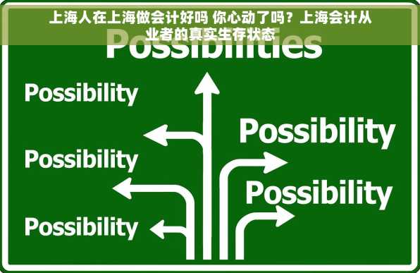 上海人在上海做会计好吗 你心动了吗？上海会计从业者的真实生存状态