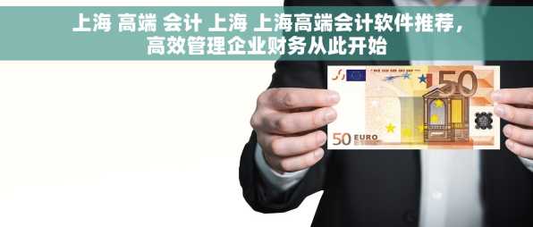 上海 高端 会计 上海 上海高端会计软件推荐，高效管理企业财务从此开始