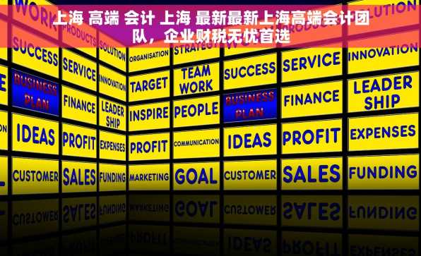 上海 高端 会计 上海 最新最新上海高端会计团队，企业财税无忧首选