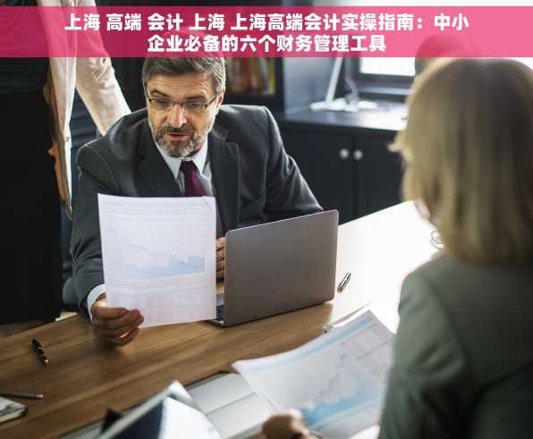 上海 高端 会计 上海 上海高端会计实操指南：中小企业必备的六个财务管理工具