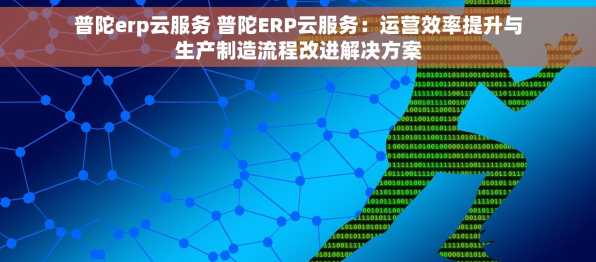 普陀erp云服务 普陀ERP云服务：运营效率提升与生产制造流程改进解决方案