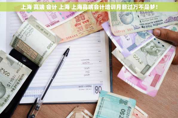 上海 高端 会计 上海 上海高端会计培训月薪过万不是梦！