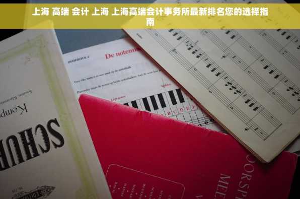 上海 高端 会计 上海 上海高端会计事务所最新排名您的选择指南