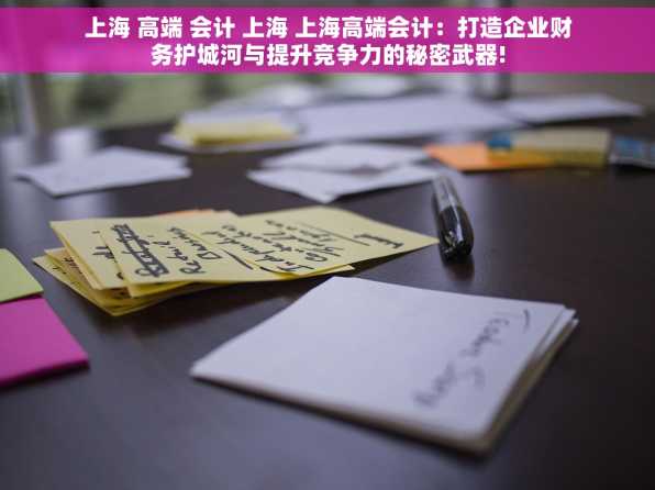 上海 高端 会计 上海 上海高端会计：打造企业财务护城河与提升竞争力的秘密武器!