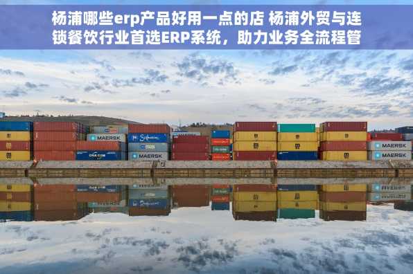 杨浦哪些erp产品好用一点的店 杨浦外贸与连锁餐饮行业首选ERP系统，助力业务全流程管理和市场开拓