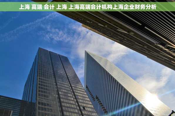 上海 高端 会计 上海 上海高端会计机构上海企业财务分析