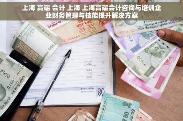 上海 高端 会计 上海 上海高端会计咨询与培训企业财务管理与技能提升解决方案
