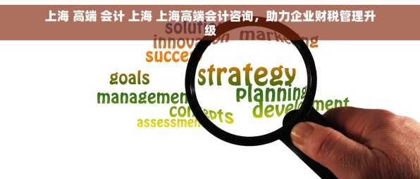 上海 高端 会计 上海 上海高端会计咨询，助力企业财税管理升级