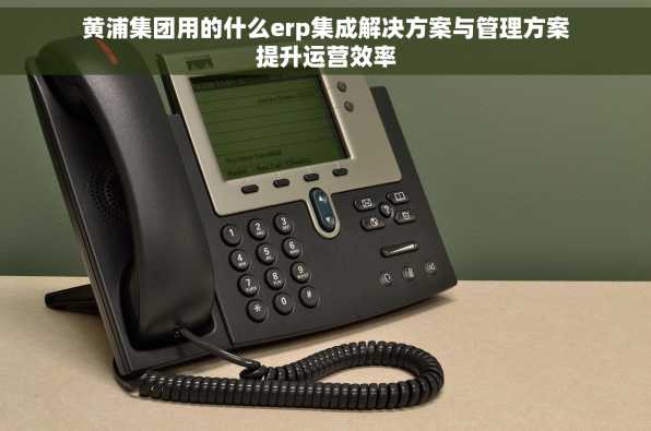 黄浦集团用的什么erp集成解决方案与管理方案提升运营效率