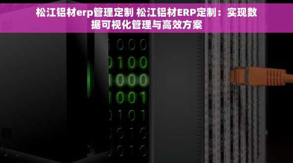 松江铝材erp管理定制 松江铝材ERP定制：实现数据可视化管理与高效方案