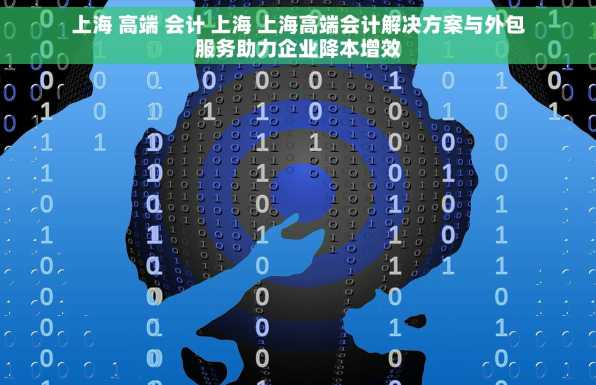 上海 高端 会计 上海 上海高端会计解决方案与外包服务助力企业降本增效