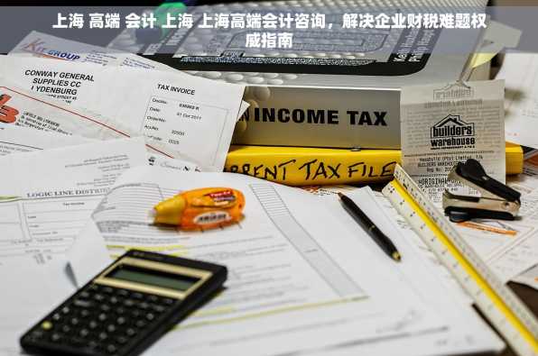上海 高端 会计 上海 上海高端会计咨询，解决企业财税难题权威指南