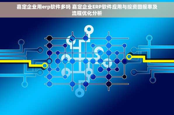 嘉定企业用erp软件多吗 嘉定企业ERP软件应用与投资回报率及流程优化分析