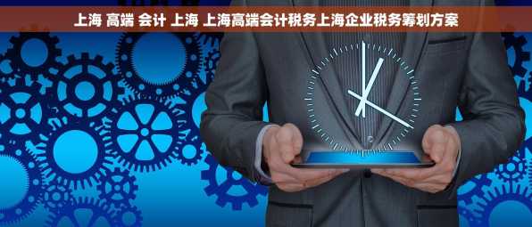 上海 高端 会计 上海 上海高端会计税务上海企业税务筹划方案