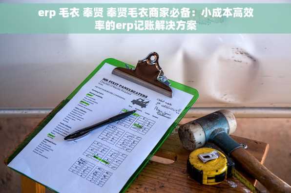 erp 毛衣 奉贤 奉贤毛衣商家必备：小成本高效率的erp记账解决方案