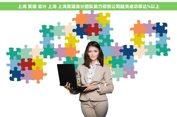 上海 高端 会计 上海 上海高端会计团队助力初创公司融资成功率达%以上