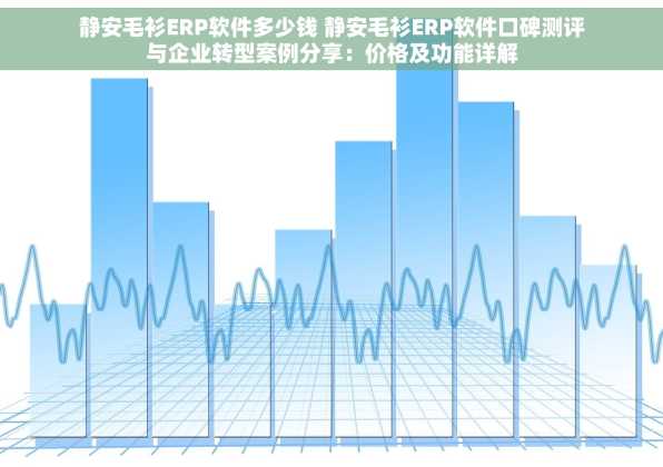 静安毛衫ERP软件多少钱 静安毛衫ERP软件口碑测评与企业转型案例分享：价格及功能详解