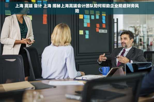 上海 高端 会计 上海 揭秘上海高端会计团队如何帮助企业规避财务风险
