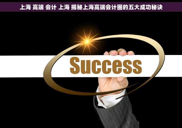 上海 高端 会计 上海 揭秘上海高端会计圈的五大成功秘诀