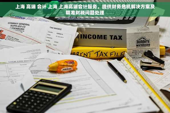 上海 高端 会计 上海 上海高端会计服务，提供财务危机解决方案及精准财税问题处理