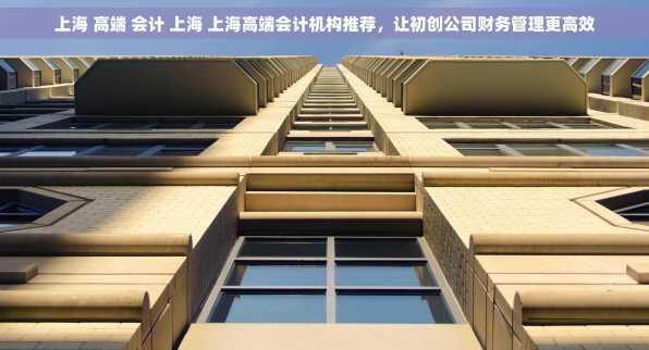 上海 高端 会计 上海 上海高端会计机构推荐，让初创公司财务管理更高效