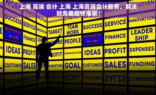 上海 高端 会计 上海 上海高端会计服务，解决财务难题快准狠！
