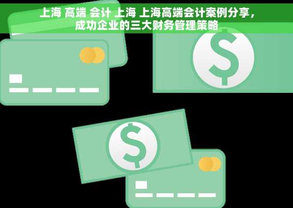 上海 高端 会计 上海 上海高端会计案例分享，成功企业的三大财务管理策略