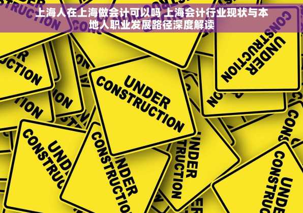 上海人在上海做会计可以吗 上海会计行业现状与本地人职业发展路径深度解读