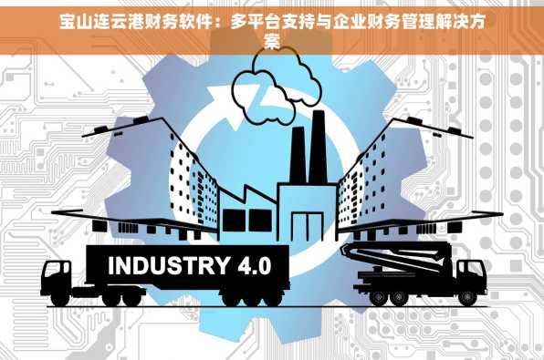 宝山连云港财务软件：多平台支持与企业财务管理解决方案