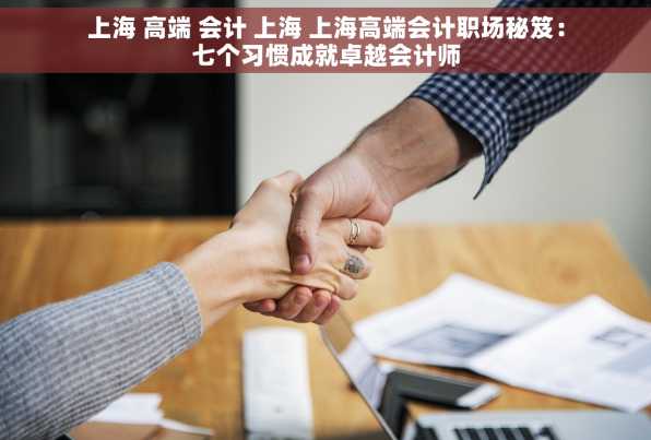 上海 高端 会计 上海 上海高端会计职场秘笈：七个习惯成就卓越会计师