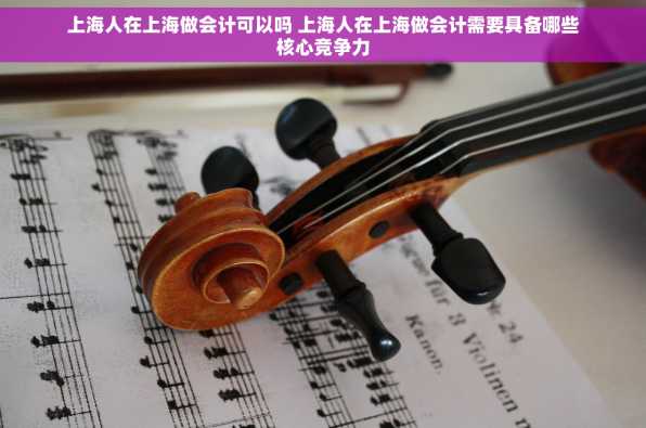 上海人在上海做会计可以吗 上海人在上海做会计需要具备哪些核心竞争力
