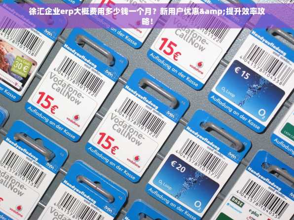 徐汇企业erp大概费用多少钱一个月？新用户优惠&提升效率攻略！