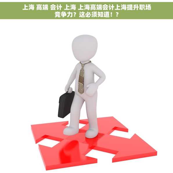 上海 高端 会计 上海 上海高端会计上海提升职场竞争力？这必须知道！?