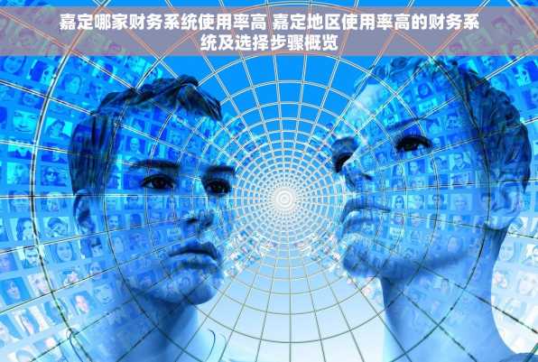 嘉定哪家财务系统使用率高 嘉定地区使用率高的财务系统及选择步骤概览