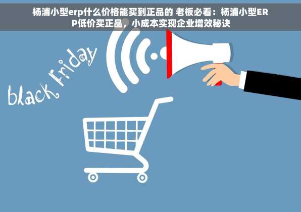 杨浦小型erp什么价格能买到正品的 老板必看：杨浦小型ERP低价买正品，小成本实现企业增效秘诀