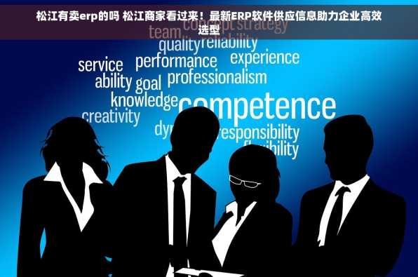 松江有卖erp的吗 松江商家看过来！最新ERP软件供应信息助力企业高效选型