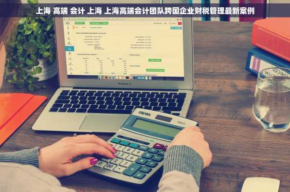 上海 高端 会计 上海 上海高端会计团队跨国企业财税管理最新案例