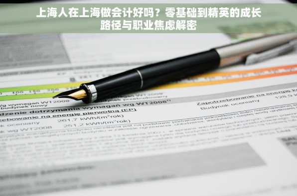 上海人在上海做会计好吗？零基础到精英的成长路径与职业焦虑解密