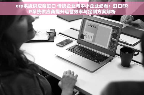 erp系统供应商虹口 传统企业与中小企业必看：虹口ERP系统供应商提升运营效率与定制方案解析