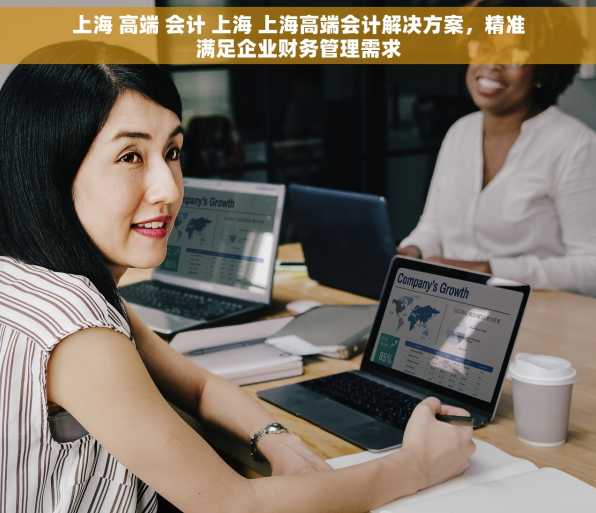 上海 高端 会计 上海 上海高端会计解决方案，精准满足企业财务管理需求