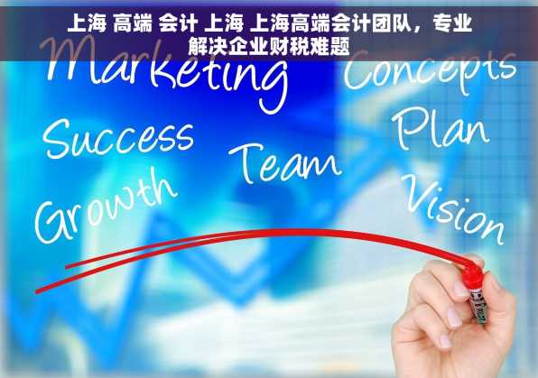 上海 高端 会计 上海 上海高端会计团队，专业解决企业财税难题