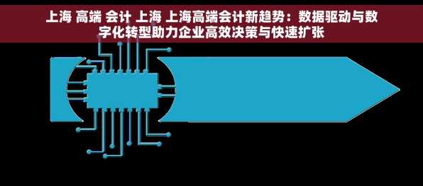 上海 高端 会计 上海 上海高端会计新趋势：数据驱动与数字化转型助力企业高效决策与快速扩张