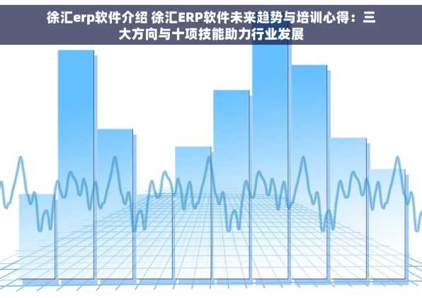 徐汇erp软件介绍 徐汇ERP软件未来趋势与培训心得：三大方向与十项技能助力行业发展