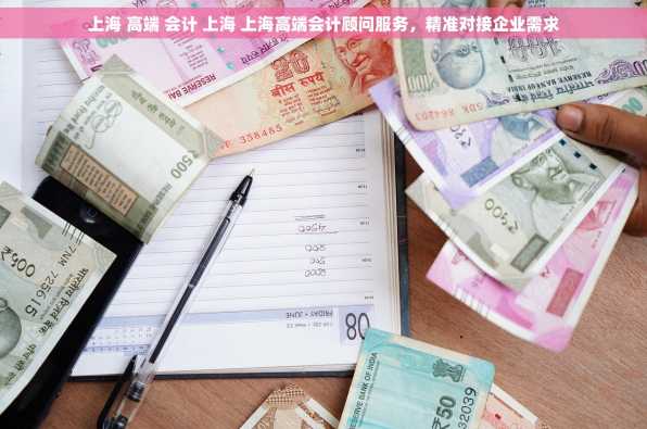 上海 高端 会计 上海 上海高端会计顾问服务，精准对接企业需求
